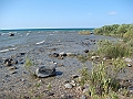 Western Michigan [2010] 835